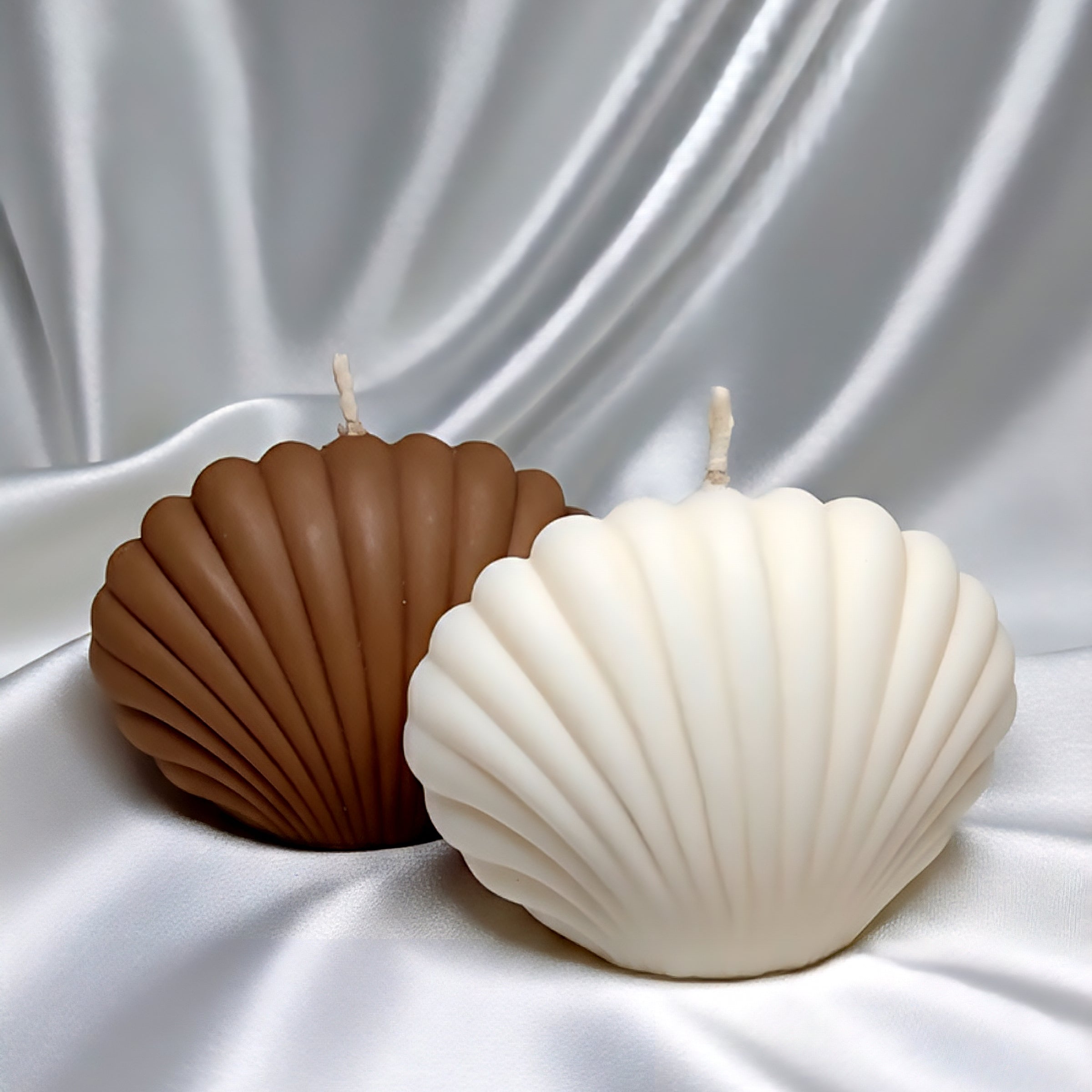 Shell Candle